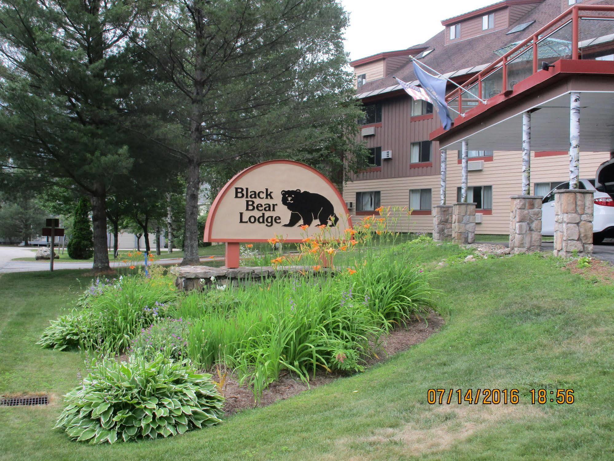 Black Bear Lodge Waterville Valley Exteriör bild